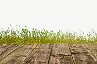 Wood floor & grass, border background  psd