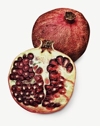Pomegranate fruit collage element, isolated image psd