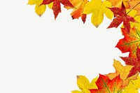 Autumn leaves, border background  psd