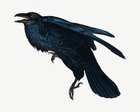 Raven bird, vintage animal collage element psd