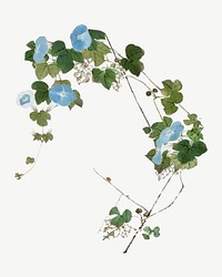 Blue Chinese flower psd, botanical collage element by Ju Lian. Remixed by rawpixel.