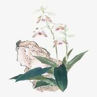 Pink Chinese flower psd, botanical collage element by Ju Lian. Remixed by rawpixel.