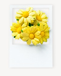 Yellow flower in white instant photo frame