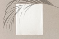 Blank white paper with palm leaves on a concrete wall