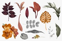 Tropical autumn leaves set