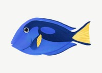 Blue fish, animal illustration, collage element psd