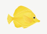 Yellow tang fish, animal illustration, collage element psd