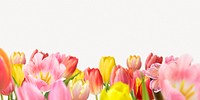 Spring flower field background, colorful design