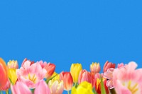 Spring flower field background, colorful design psd