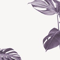 Metallic monstera leaf border  psd