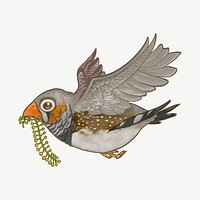 Flying brown bird, animal collage element psd