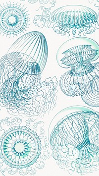 Vintage jellyfish pattern iPhone wallpaper, marine life illustration by Ernst Haeckel, remixed by rawpixel