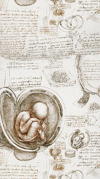 Leonardo da Vinci's mobile wallpaper, Studies of the Foetus in the Womb painting, remixed by rawpixel