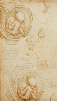 Leonardo da Vinci's mobile wallpaper, Studies of the Foetus in the Womb painting, remixed by rawpixel