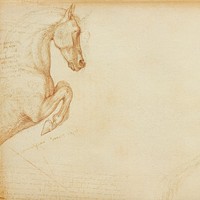 Vintage prancing horse background, animal illustration by George Stubbs, remixed by rawpixel