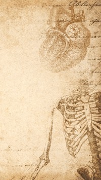 Vintage human skeleton phone wallpaper, beige paper texture background, remixed by rawpixel