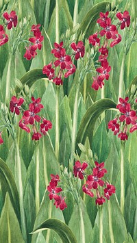 Primrose patterned mobile wallpaper, Mary Vaux Walcott's famous artwork, remixed by rawpixel