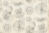 Vintage jellyfish pattern background, marine life illustration by Ernst Haeckel, remixed by rawpixel