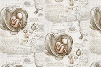 Leonardo da Vinci's background, Studies of the Foetus in the Womb painting, remixed by rawpixel