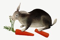 The Rabbit's Meal, Henri Rousseau's animal collage element psd, remixed by rawpixel