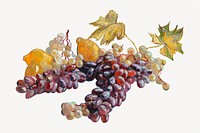 Van Gogh's Grapes, Lemons, Pears, and Apples psd, remixed by rawpixel