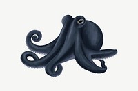 Black octopus, animal illustration, collage element psd