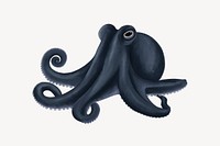 Black octopus animal illustration, white background