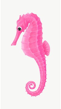 Pink seahorse, animal illustration, collage element psd