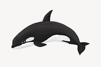Cute orca animal illustration, white background