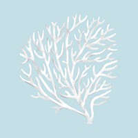 Bleached coral, nature illustration collage element psd