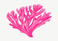 Pink coral, nature illustration collage element psd