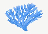 Blue coral, nature illustration collage element psd