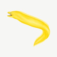 Yellow eel, animal illustration, collage element psd