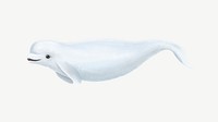 Cute beluga whale, animal illustration, collage element psd