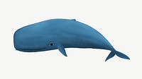 Cute sperm whale, animal illustration, collage element psd