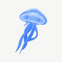 Blue jellyfish, animal illustration, collage element psd