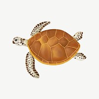 Sea turtle, animal illustration, collage element psd