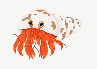 Hermit crab, animal illustration, collage element psd