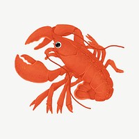 Red lobster, animal illustration, collage element psd