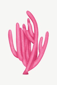 Pink ocean plant, nature illustration collage element psd