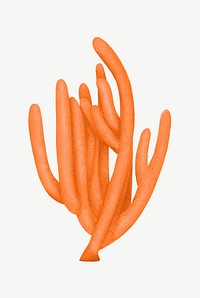 Orange coral, nature illustration collage element psd
