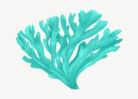 Turquoise coral, nature illustration collage element psd