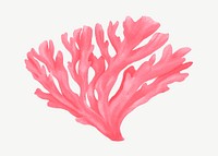 Pink coral, nature illustration collage element psd