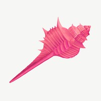 Pink murex shell illustration, collage element psd