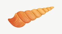 Orange auger shell illustration, collage element psd