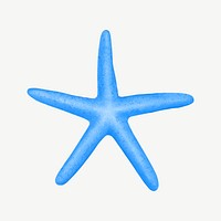 Blue starfish, animal illustration, collage element psd