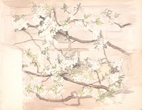 Apple blossoms by Agnes Slott-Møller