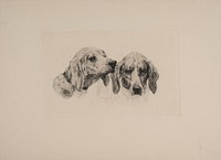 Two dog heads by Otto Bache