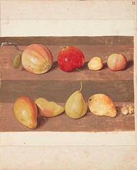 Study of apples and pears by Johanna Fosie