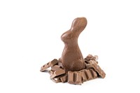 A chocolate easter bunny treat sits amongst a pile of milk chocolate chunks, against a white background.